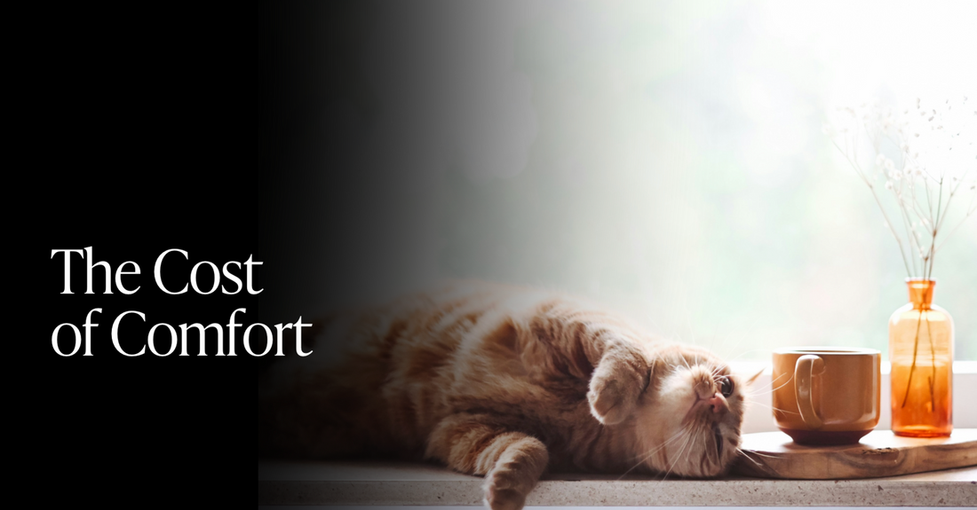 Insiders:💰 The Cost of Comfort