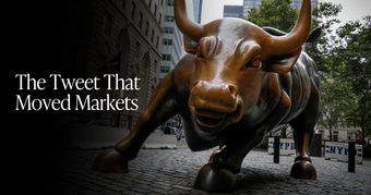 🍋 The Tweet That Moved Markets