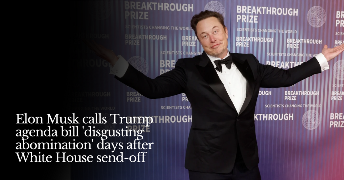 🍋  Musk vs. Mega Bill