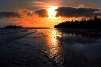 🍋 West Coast Banking Sunset