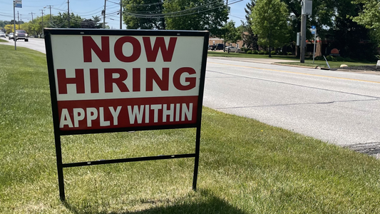 🍋 Job Market's Plot Twist