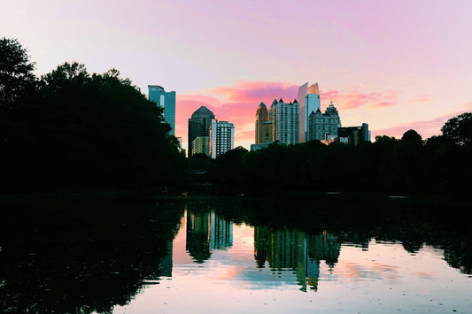 🍋 ATL Duping Wall Street Landlords