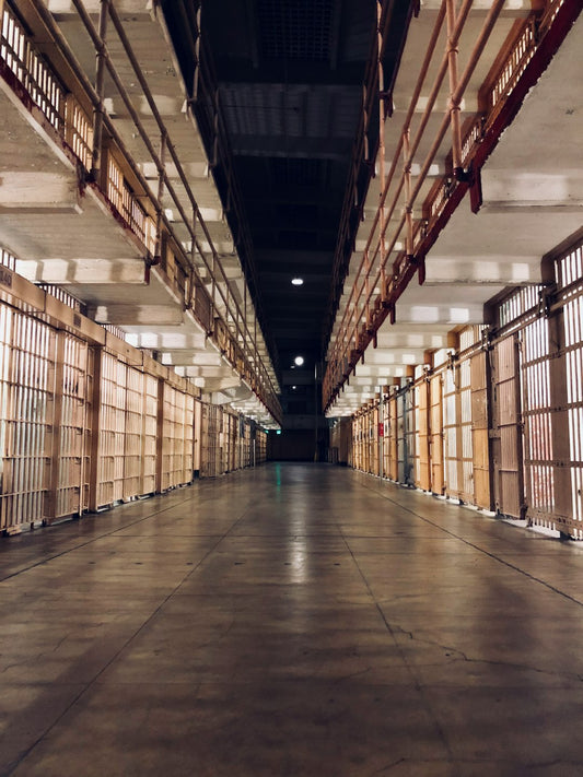 🍋 Goldman → Blackstone → Prison Pipeline